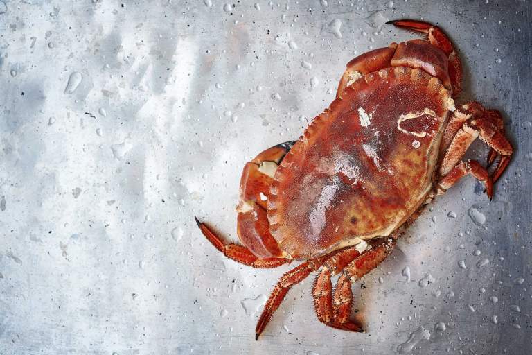 Favis of Salcombe. Crab. Taste Buds magazine